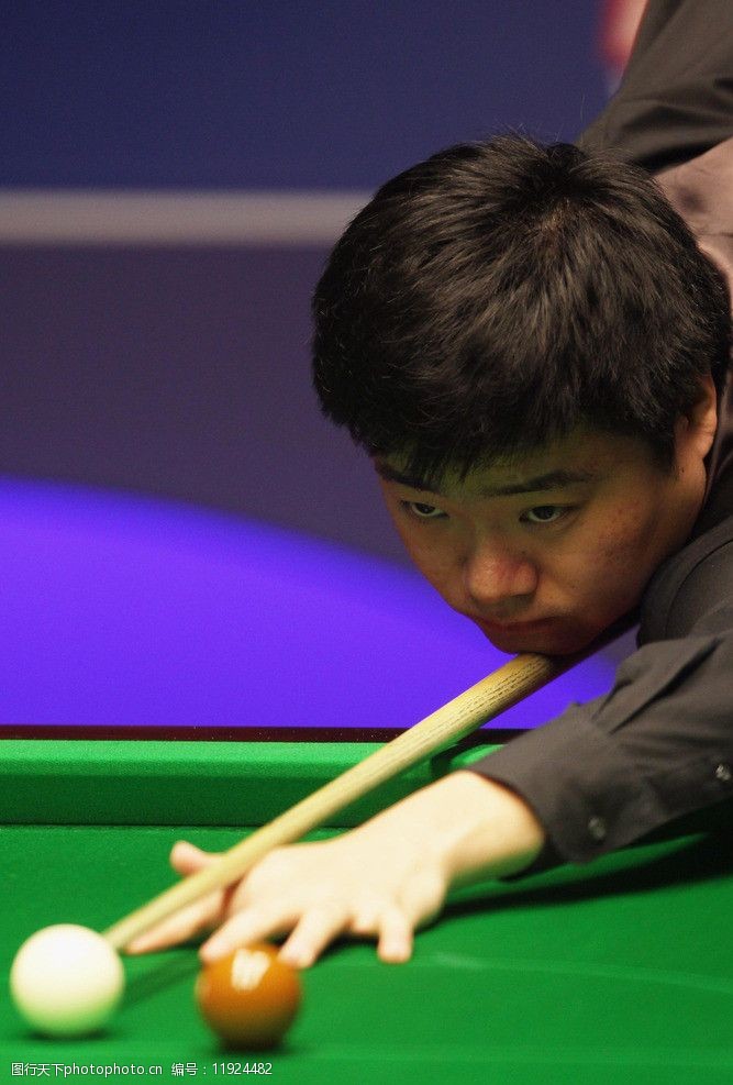 善活动用实 善活动用实