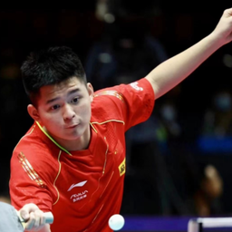 世界女排联 世界女排联