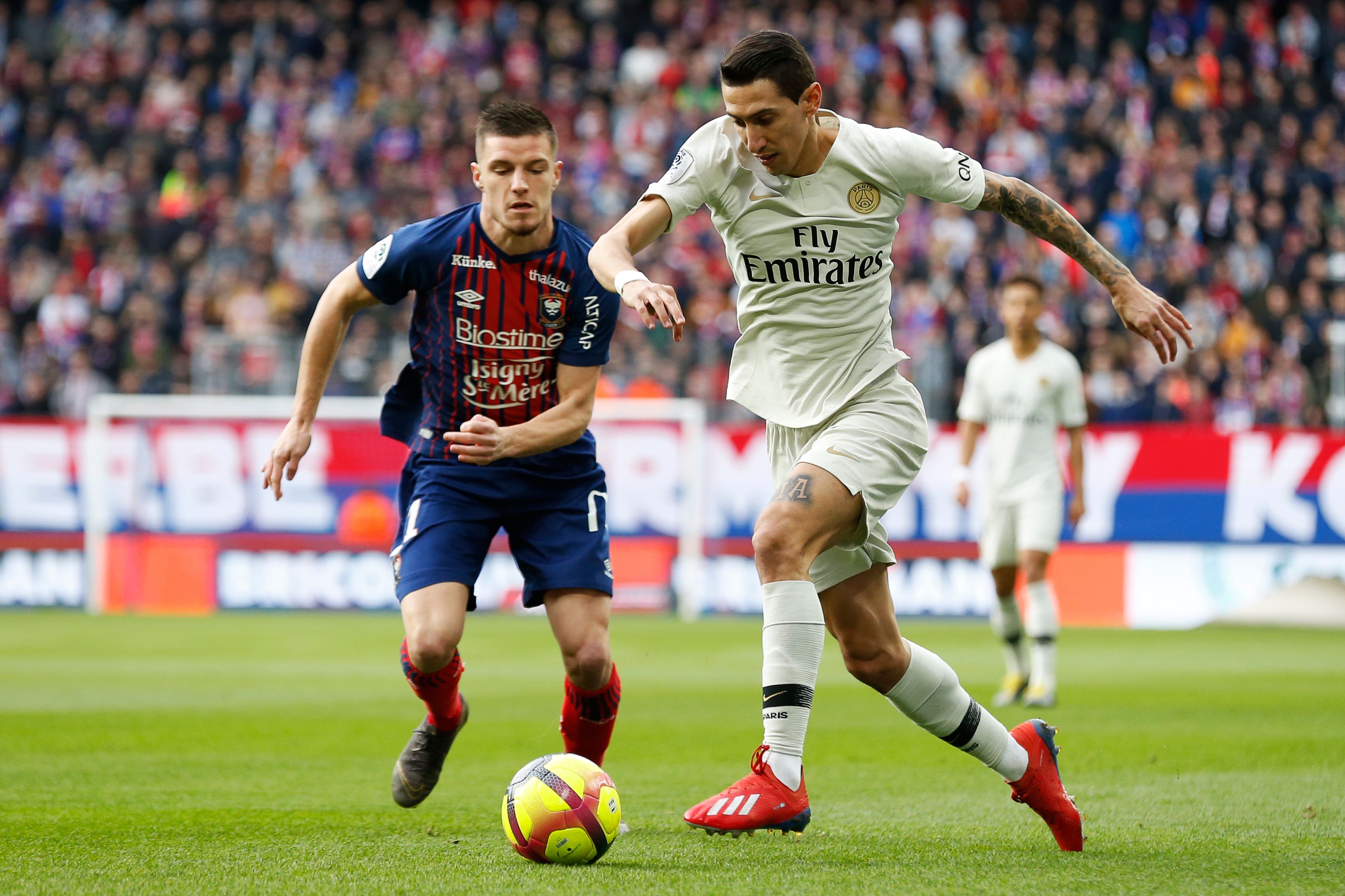 再次被点燃 再次被点燃